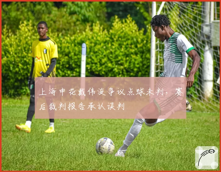 上海申花戴伟浚争议点球未判,赛后裁判报告承认误判
