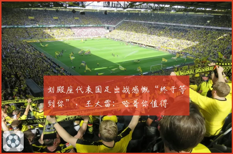 刘殿座代表国足出战感慨“终于等到你”，王大雷：哈哥你值得