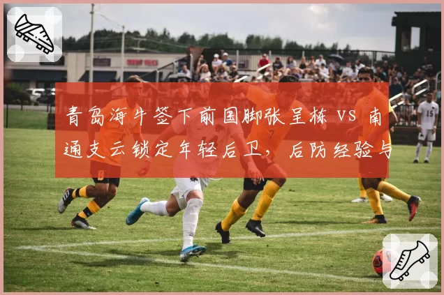 青岛海牛签下前国脚张呈栋 vs 南通支云锁定年轻后卫，后防经验与活力对比