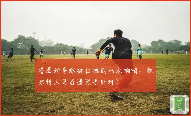 塔图姆争球被拉拽倒地未响哨，凯尔特人是否遭黑手针对？