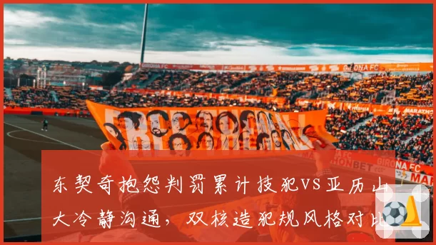 东契奇抱怨判罚累计技犯vs亚历山大冷静沟通,双核造犯规风格对比