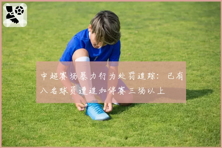 中超赛场暴力行为处罚追踪:已有八名球员遭追加停赛三场以上
